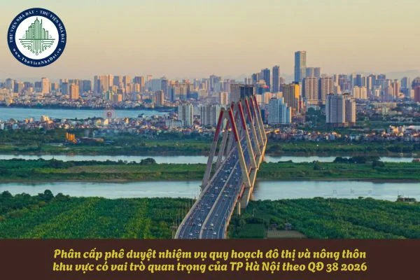 okevipp.com