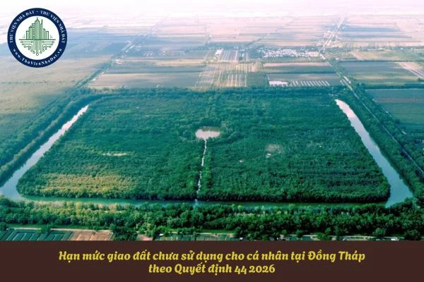 okevipp.com
