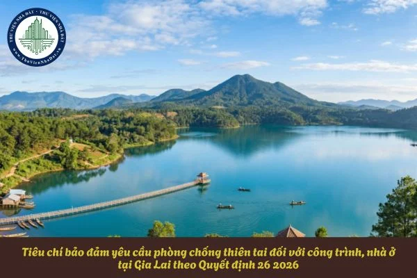 okevipp.com