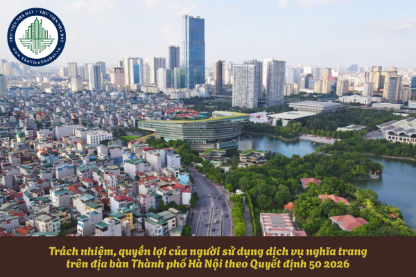 okevipp.com