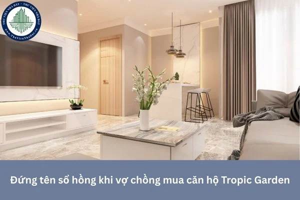 okevipp.com