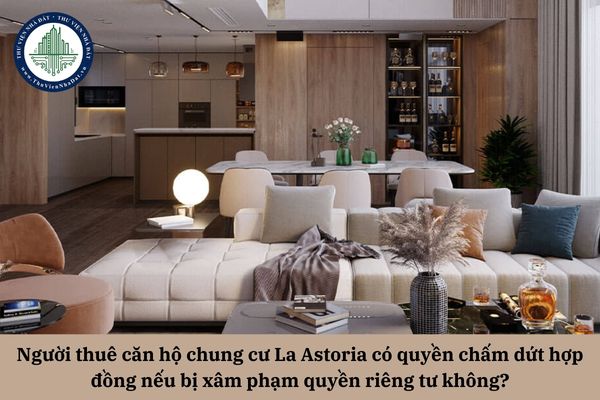 okevipp.com