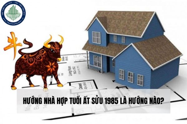 okevipp.com