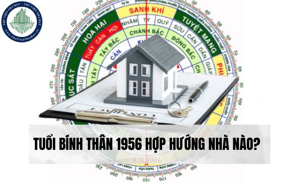 okevipp.com