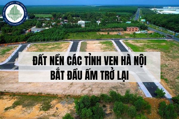 okevipp.com