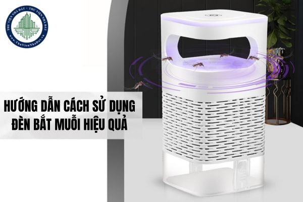 okevipp.com