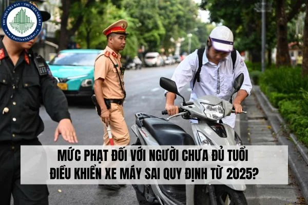 okevipp.com