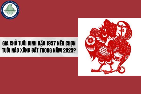 okevipp.com