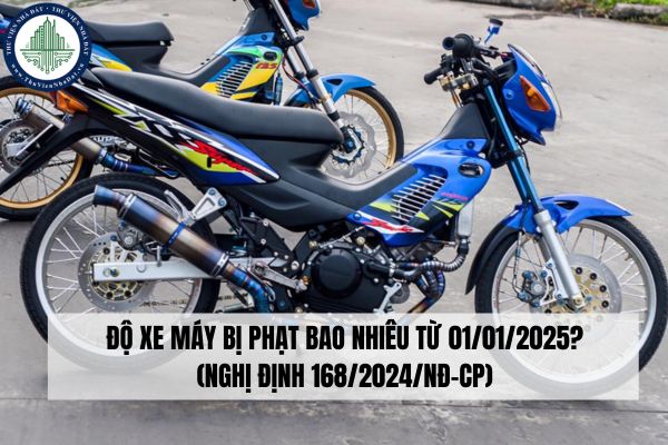 okevipp.com