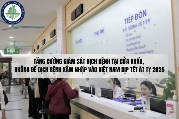 okevipp.com