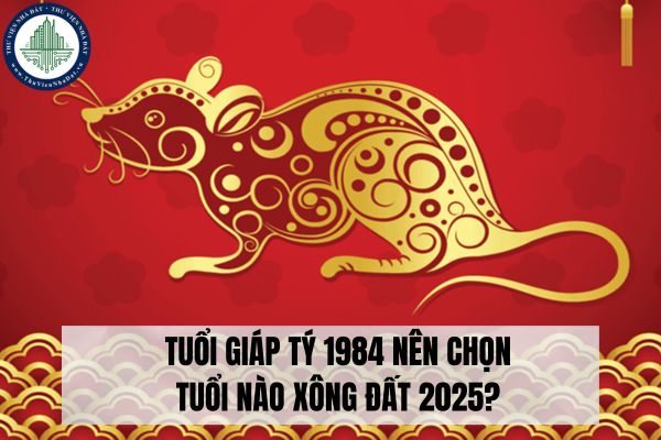 okevipp.com