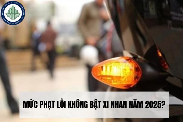 okevipp.com