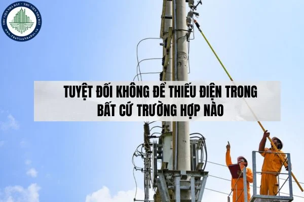okevipp.com