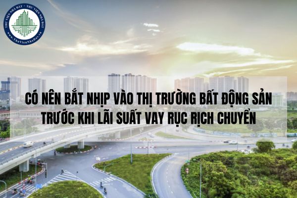okevipp.com