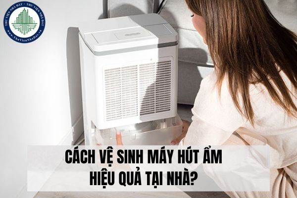 okevipp.com