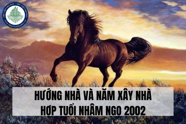 okevipp.com