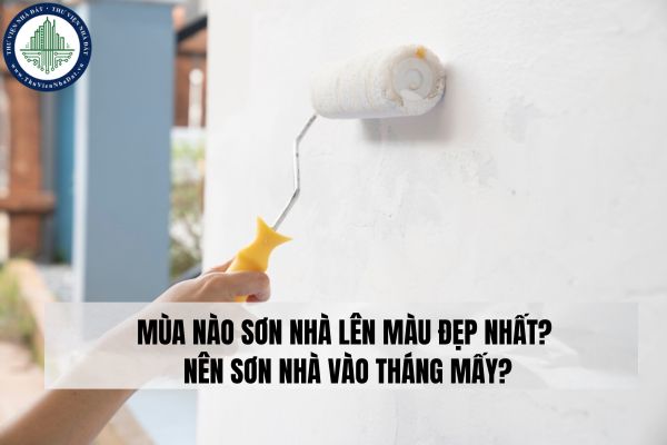 okevipp.com