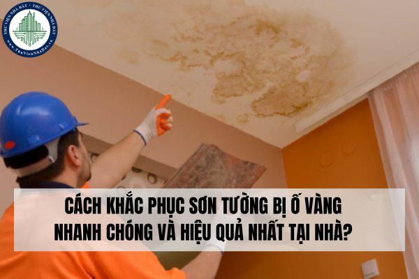 okevipp.com