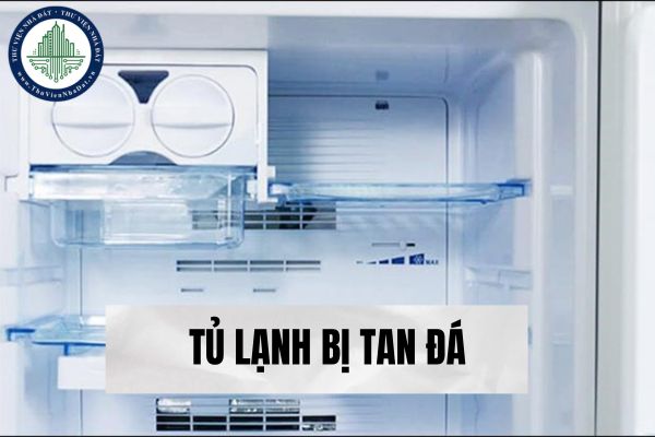 okevipp.com