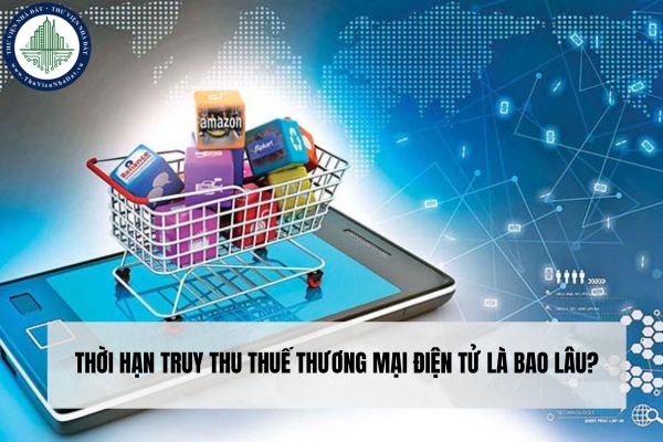 okevipp.com