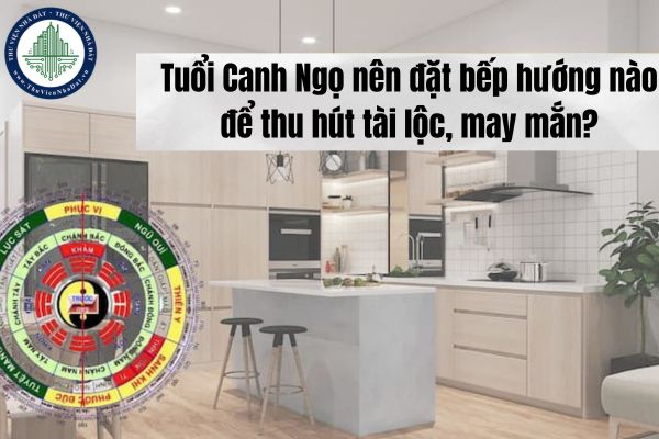 okevipp.com