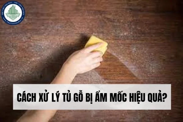 okevipp.com
