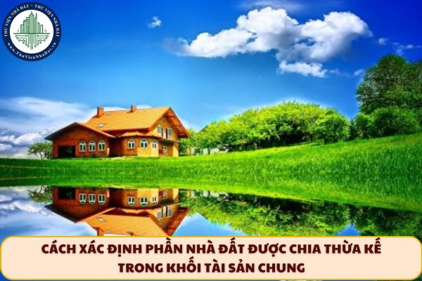 okevipp.com