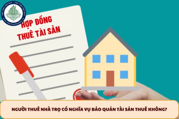 okevipp.com
