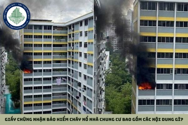 okevipp.com