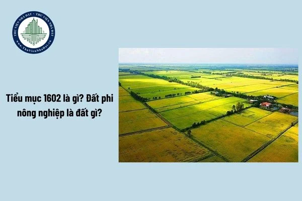 okevipp.com
