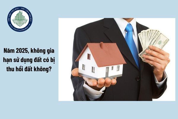 okevipp.com