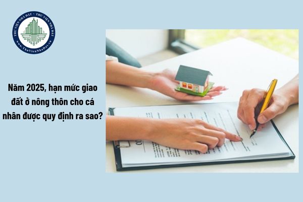 okevipp.com