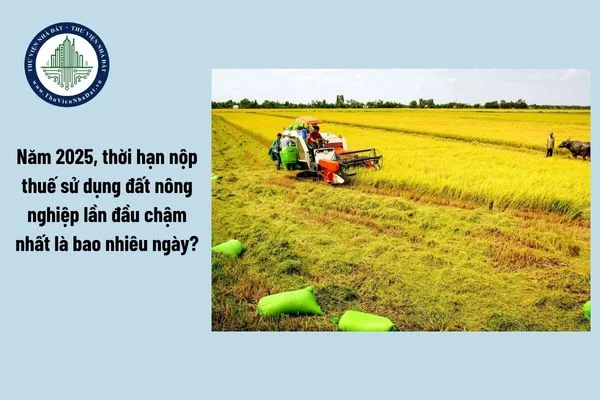 okevipp.com