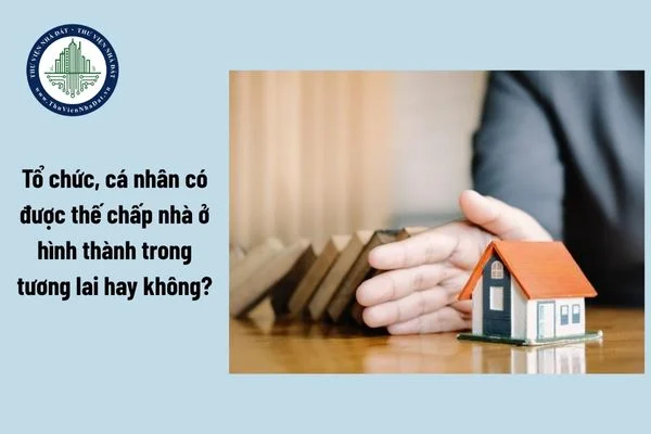 okevipp.com