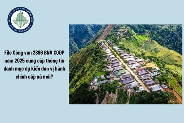 okevipp.com
