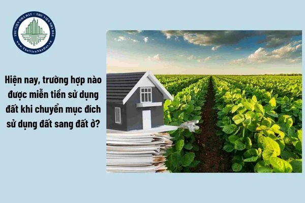 okevipp.com