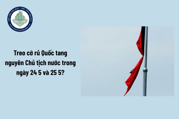 okevipp.com
