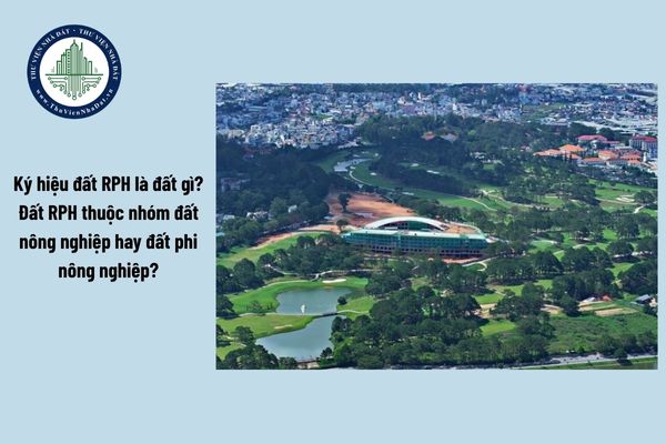 okevipp.com
