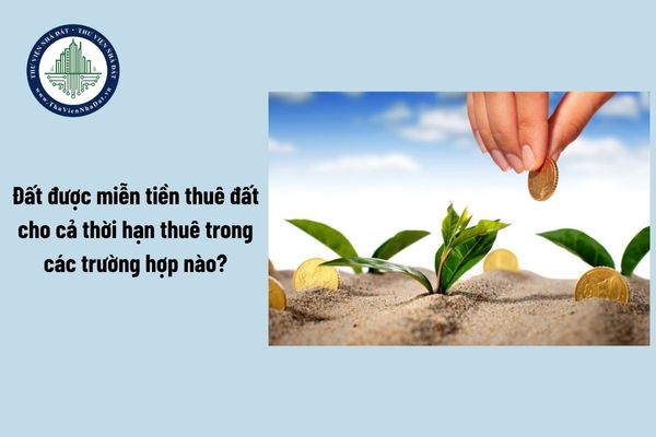 okevipp.com