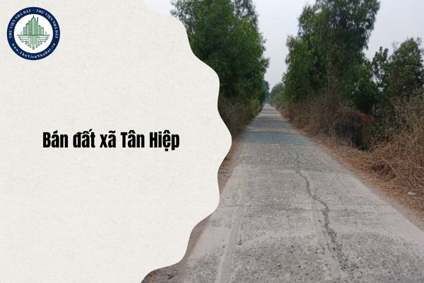 okevipp.com