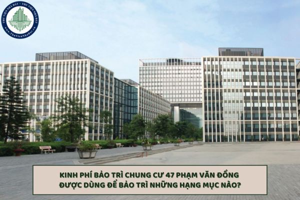 okevipp.com