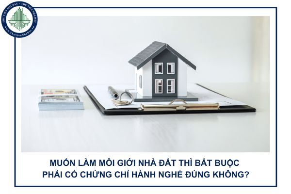 okevipp.com