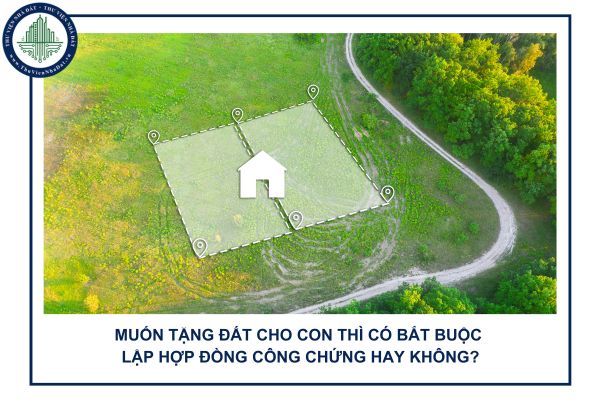 okevipp.com