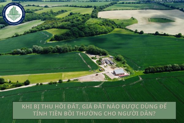 okevipp.com
