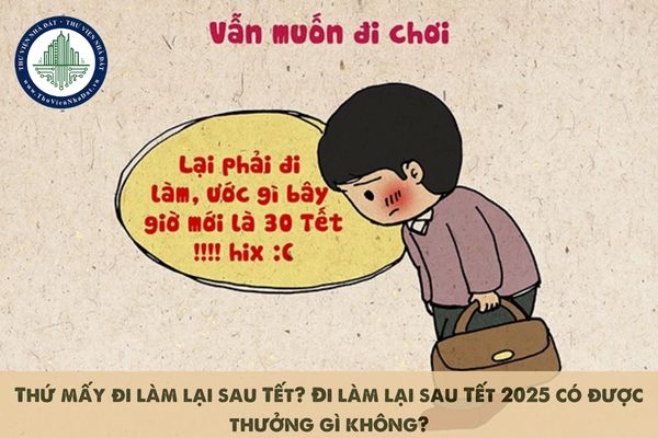okevipp.com