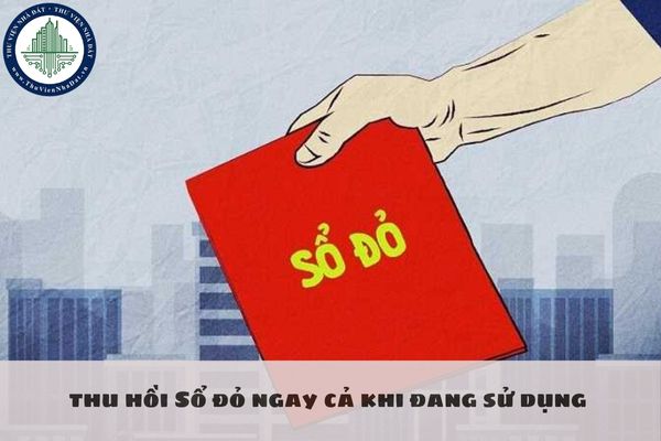 okevipp.com