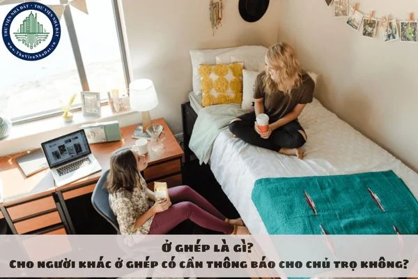 okevipp.com