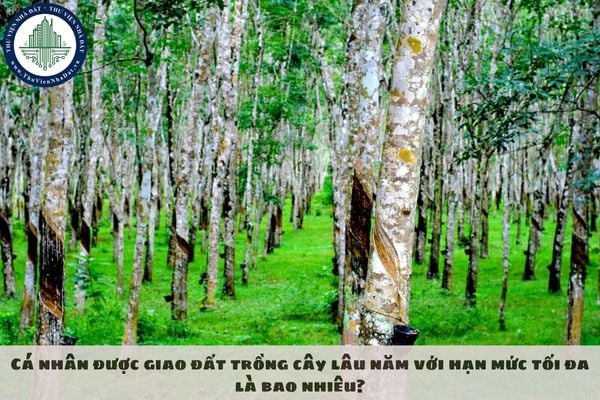 okevipp.com