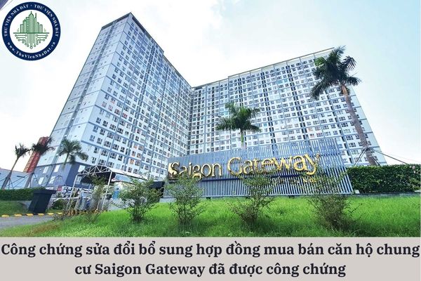 okevipp.com