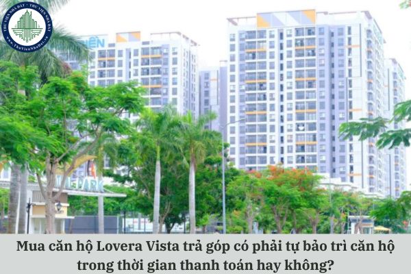 okevipp.com